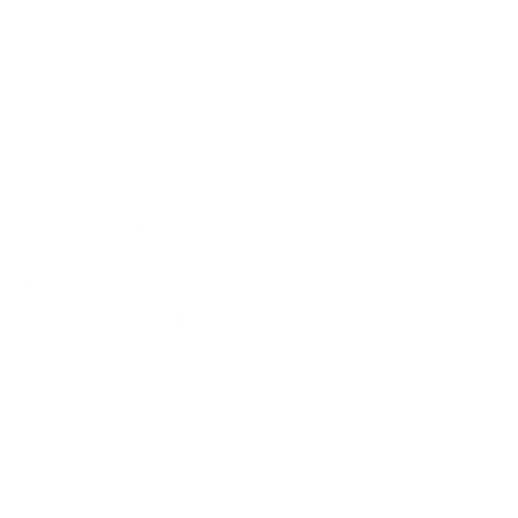 Bespoke Financial Solutions Logo